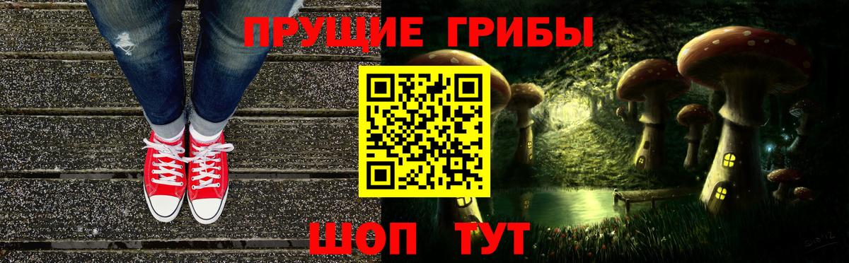 Ефремов  Псилоцибиновые грибы Cubensis  наркошоп  Вход с VPN 