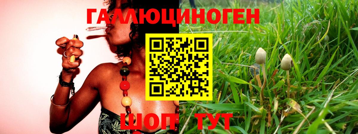 Псилоцибиновые грибы GOLDEN TEACHER Ефремов